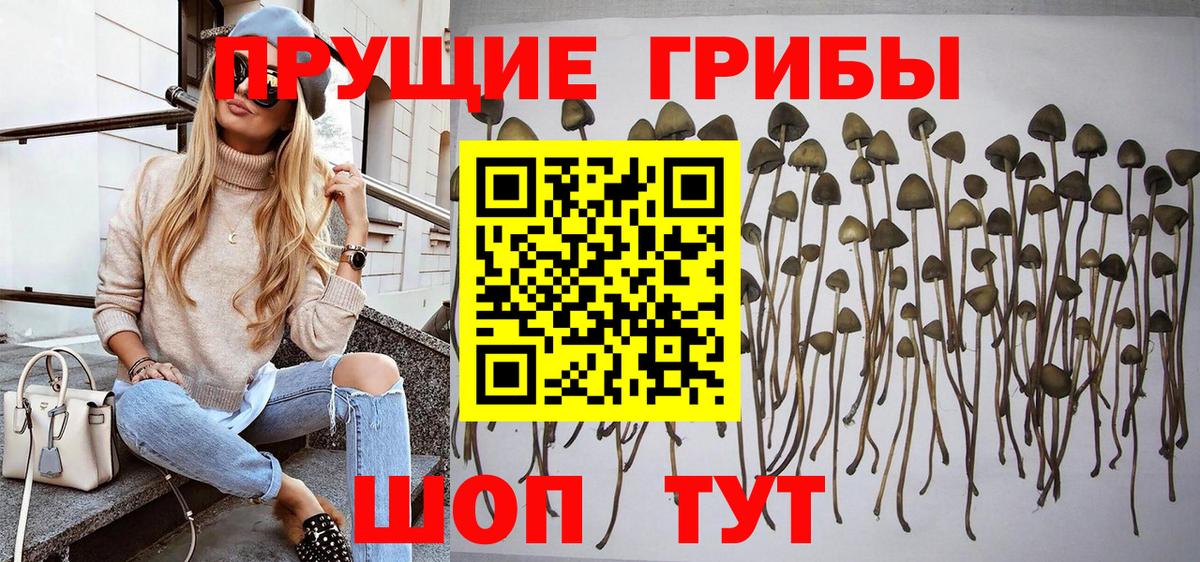 Галлюциногенные грибы MAGIC MUSHROOMS  хочу наркоту  Десногорск  Вход с VPN 